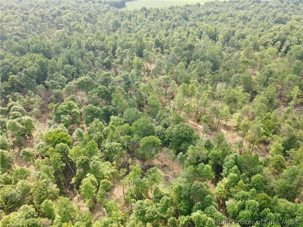 N State Rd 203 Property Photo 8