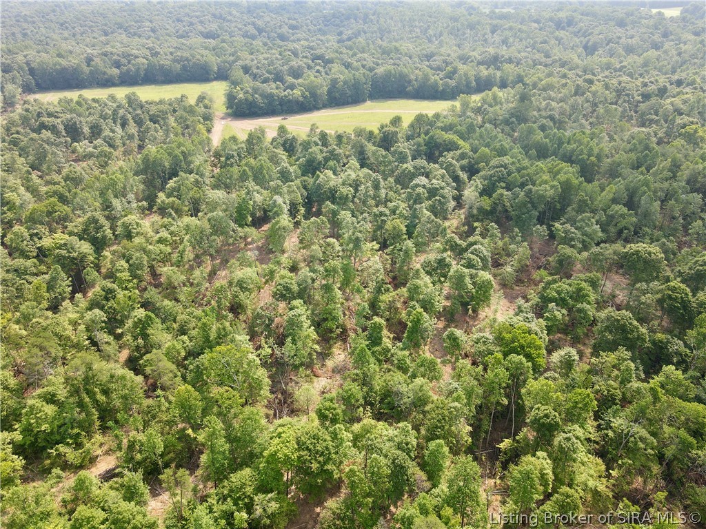 N State Rd 203 Property Photo 9