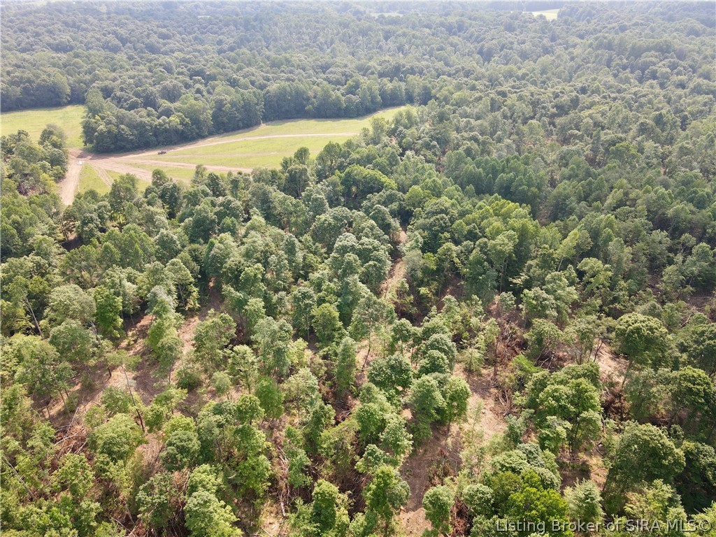 N State Rd 203 Property Photo 11
