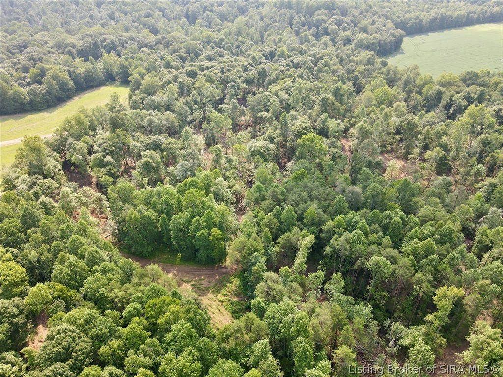 N State Rd 203 Property Photo 12