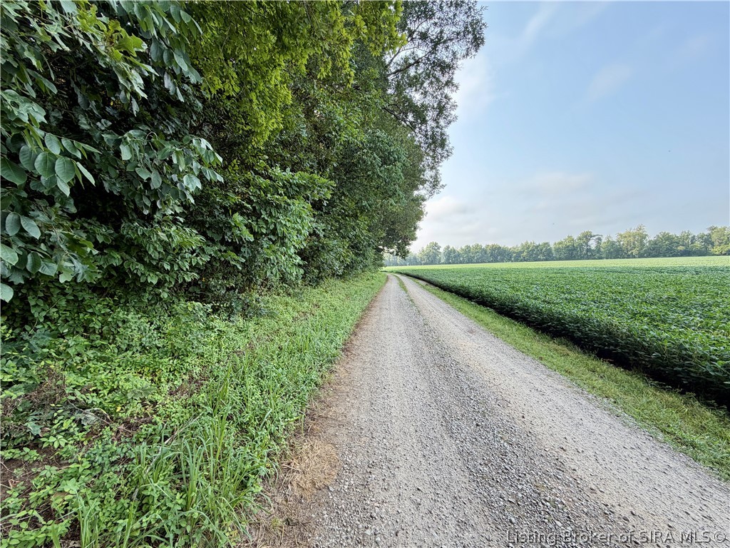N State Rd 203 Property Photo 14