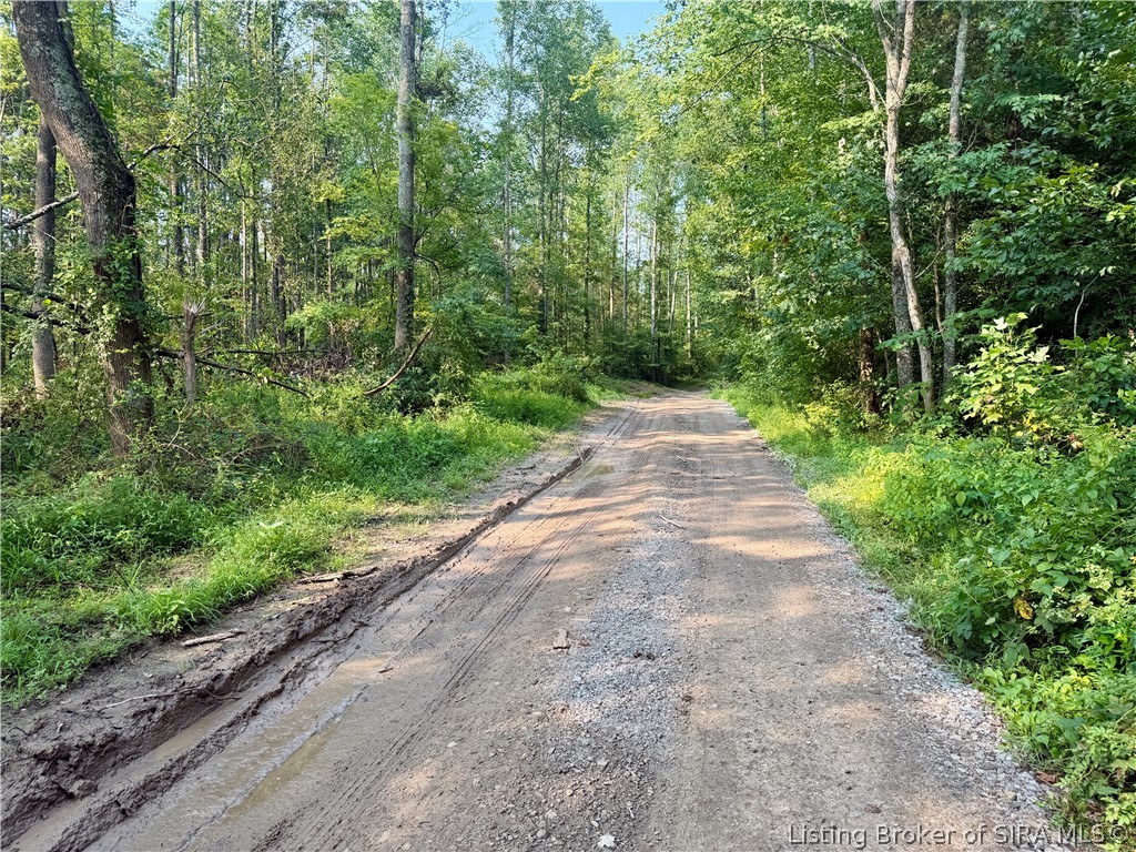 N State Rd 203 Property Photo 15
