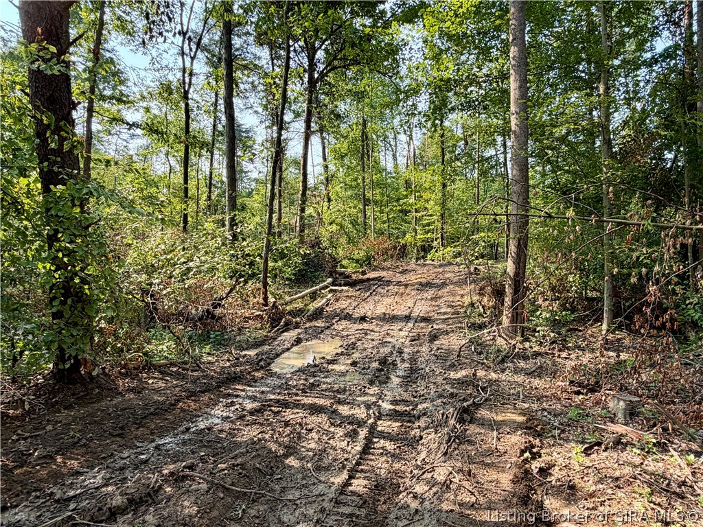 N State Rd 203 Property Photo 17
