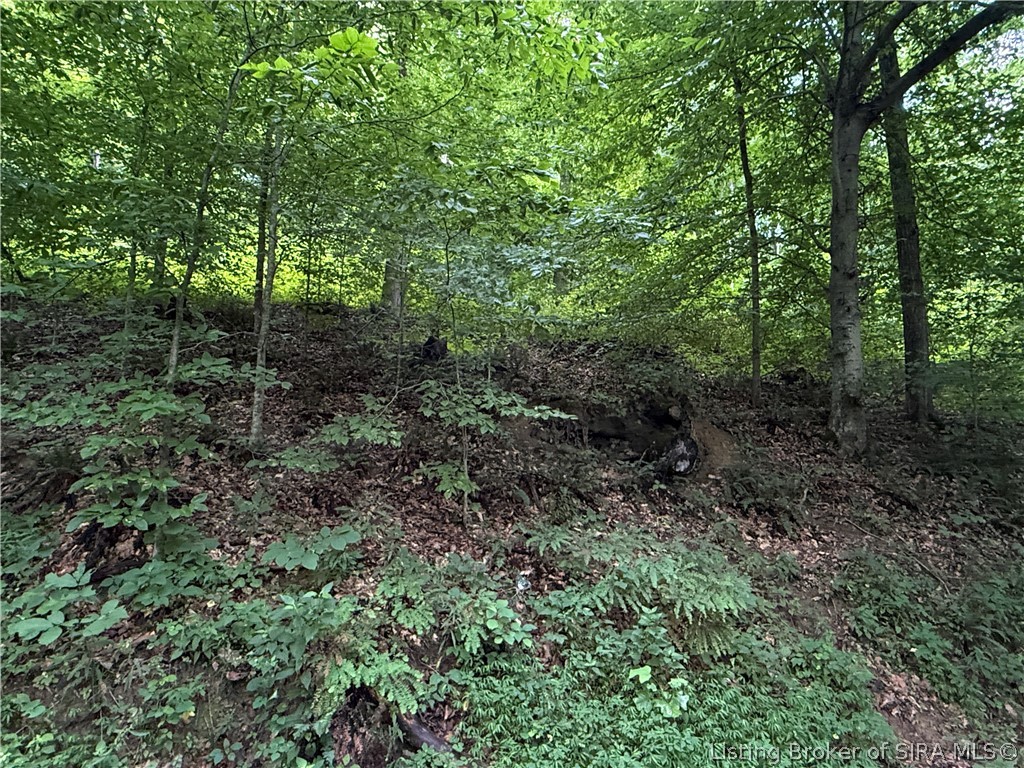 W Wheeler Hollow Road Property Photo 6