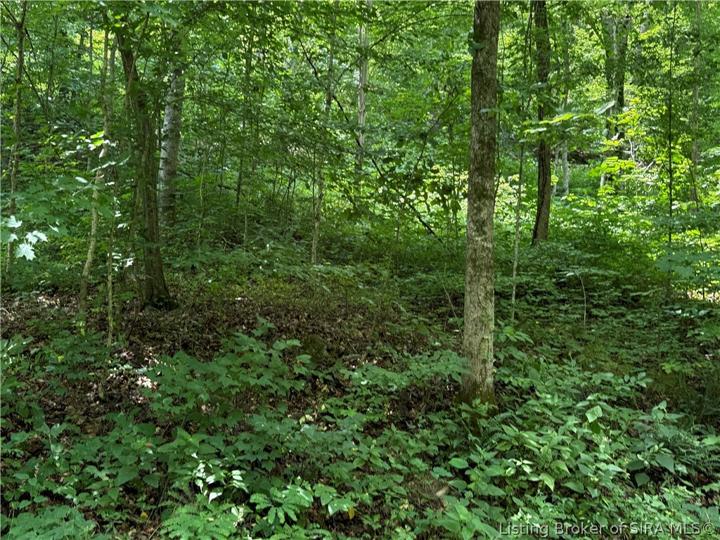W Wheeler Hollow Road Property Photo 10