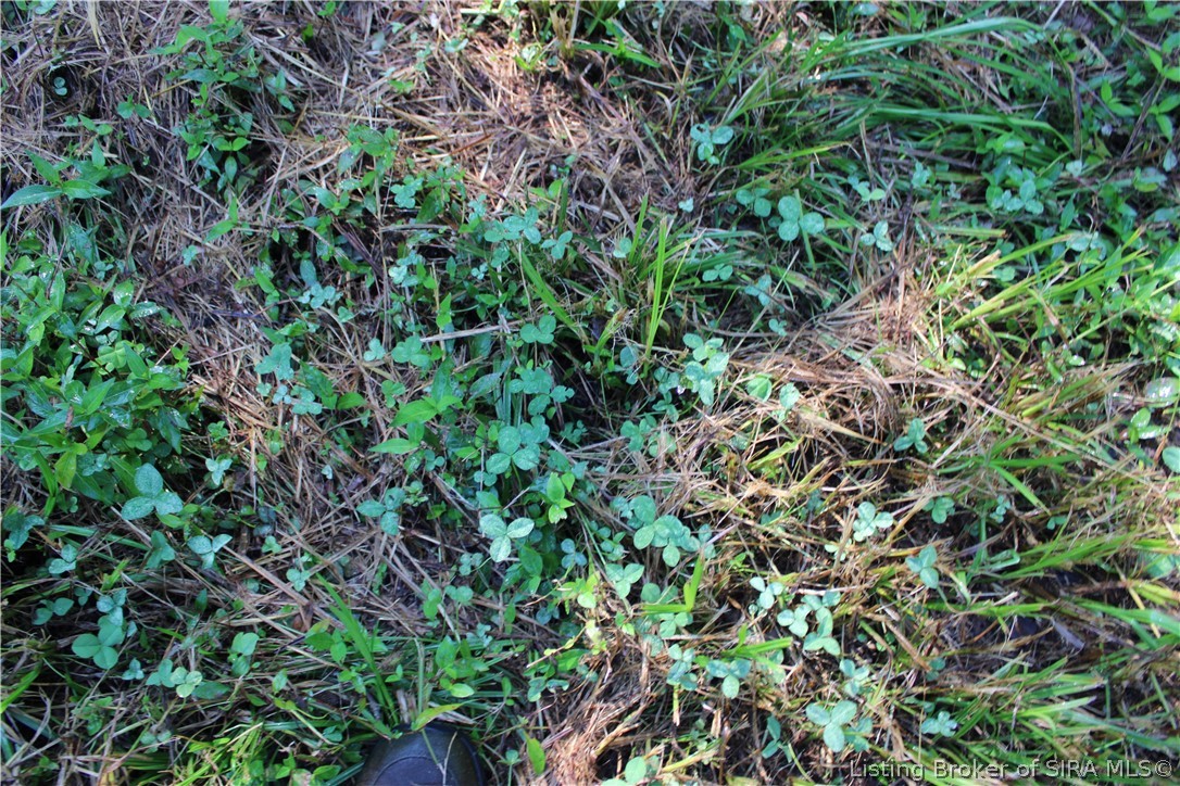 0 E Of Starr Road Property Photo 19