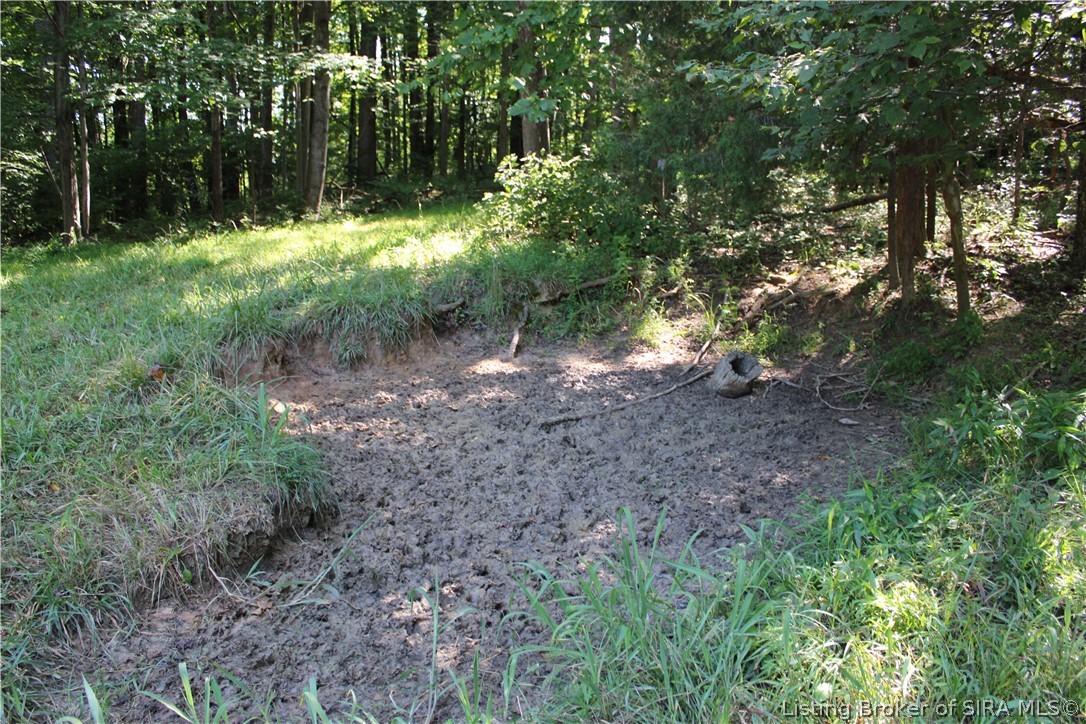 0 E Of Starr Road Property Photo 21