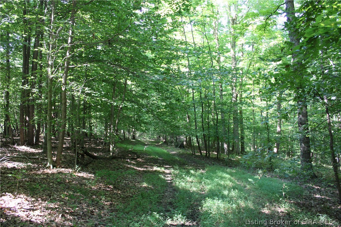 0 E Of Starr Road Property Photo 27