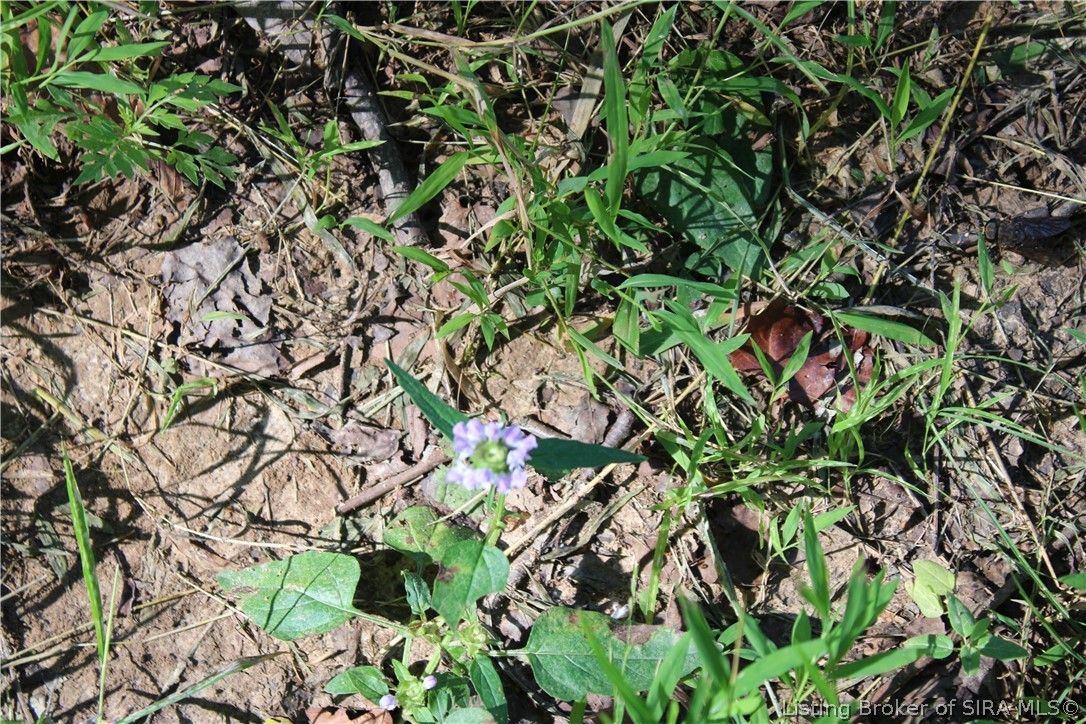 0 E Of Starr Road Property Photo 28