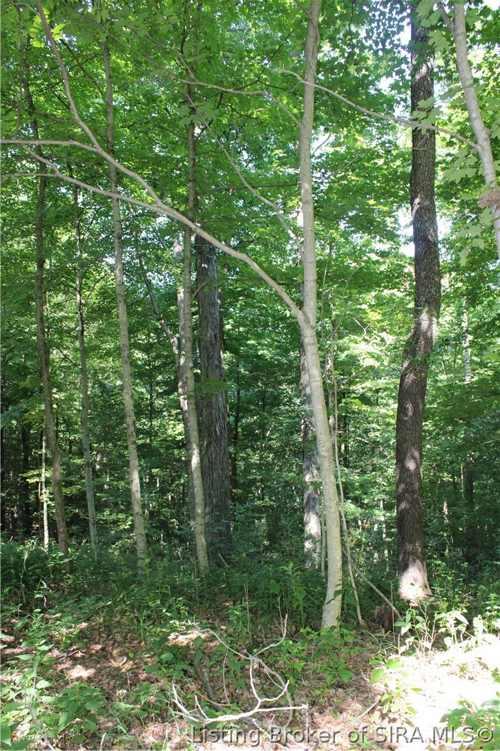 0 E Of Starr Road Property Photo 31