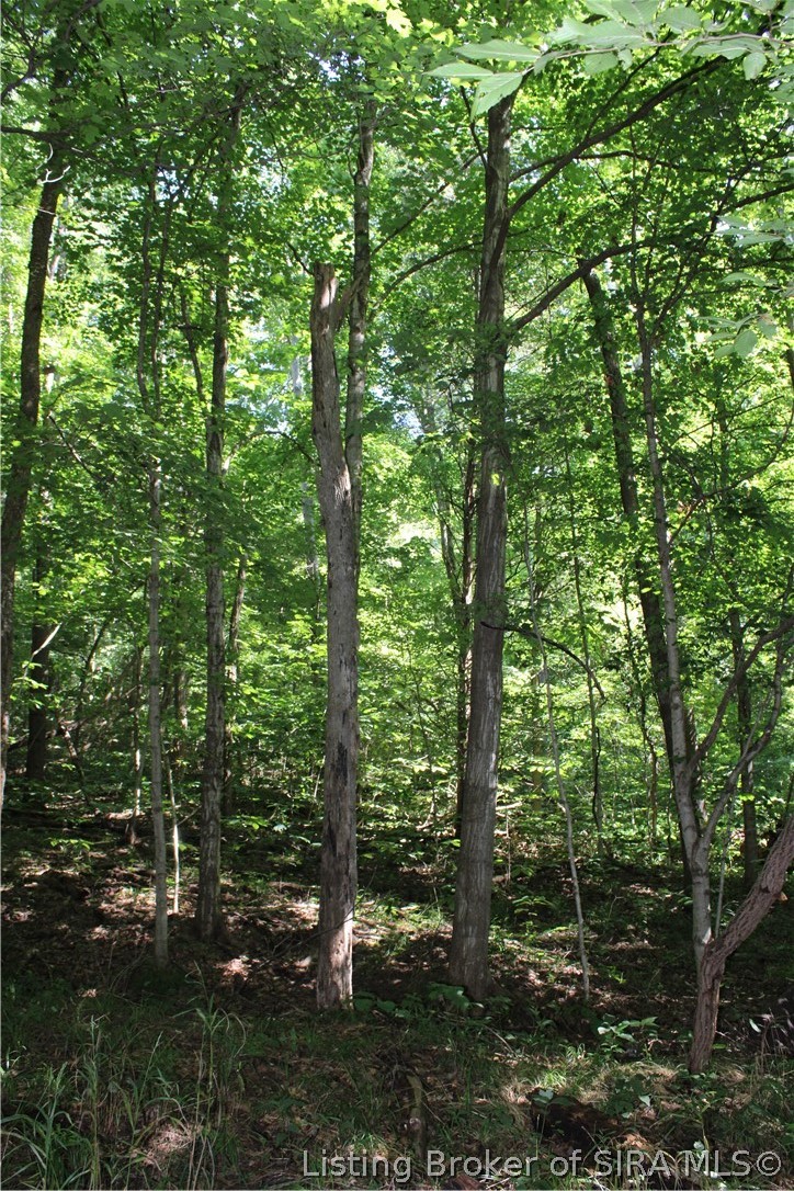 0 E Of Starr Road Property Photo 33