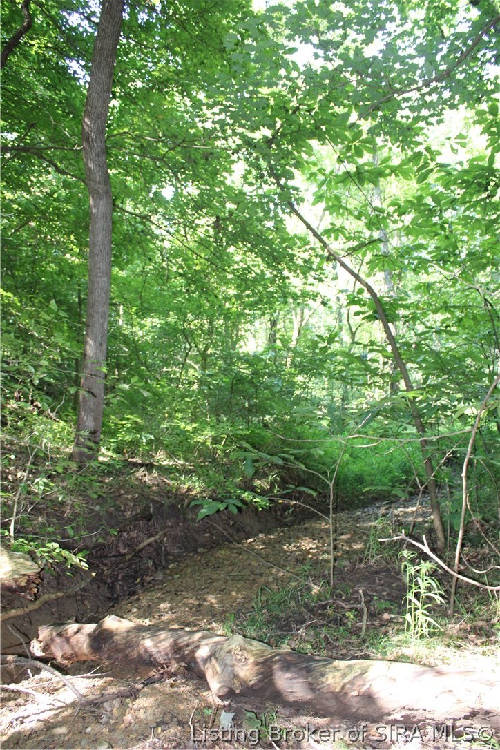 0 E Of Starr Road Property Photo 35