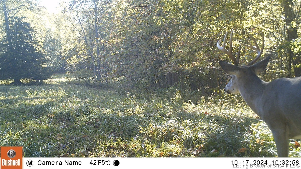 0 E Of Starr Road Property Photo 53