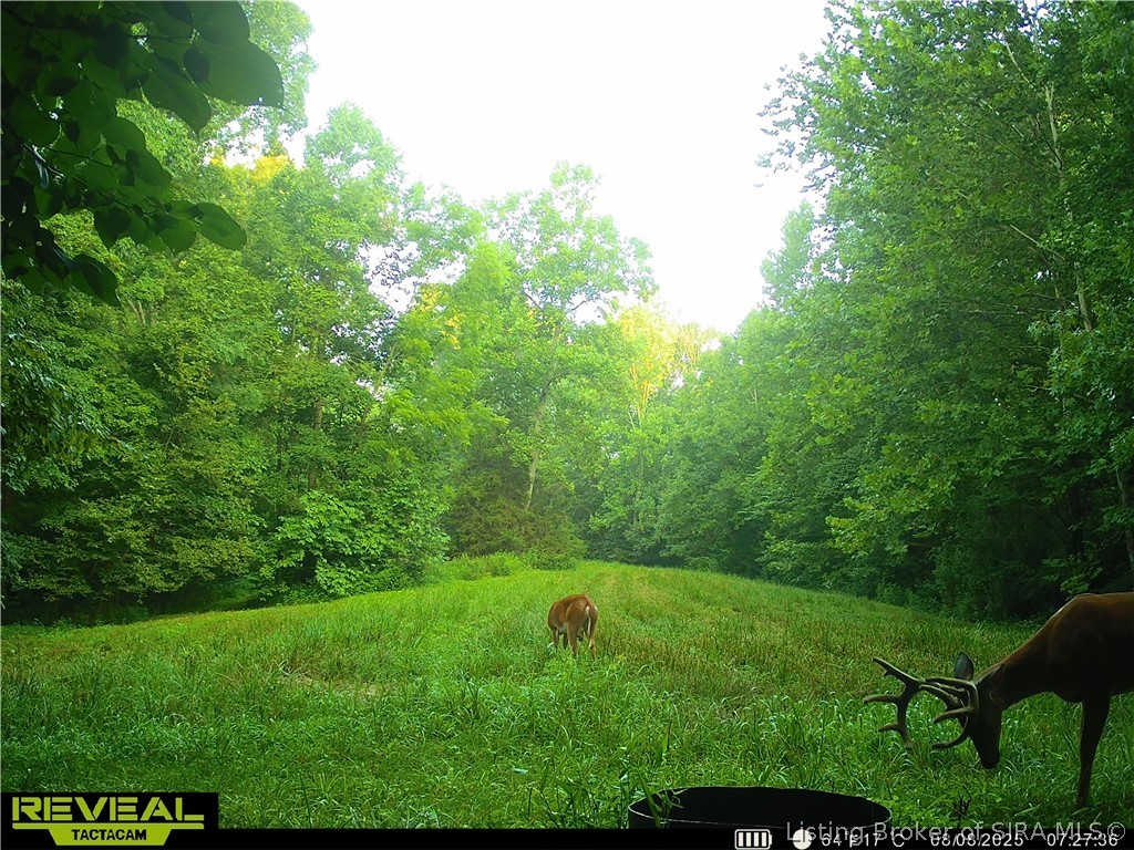 0 E Of Starr Road Property Photo 58