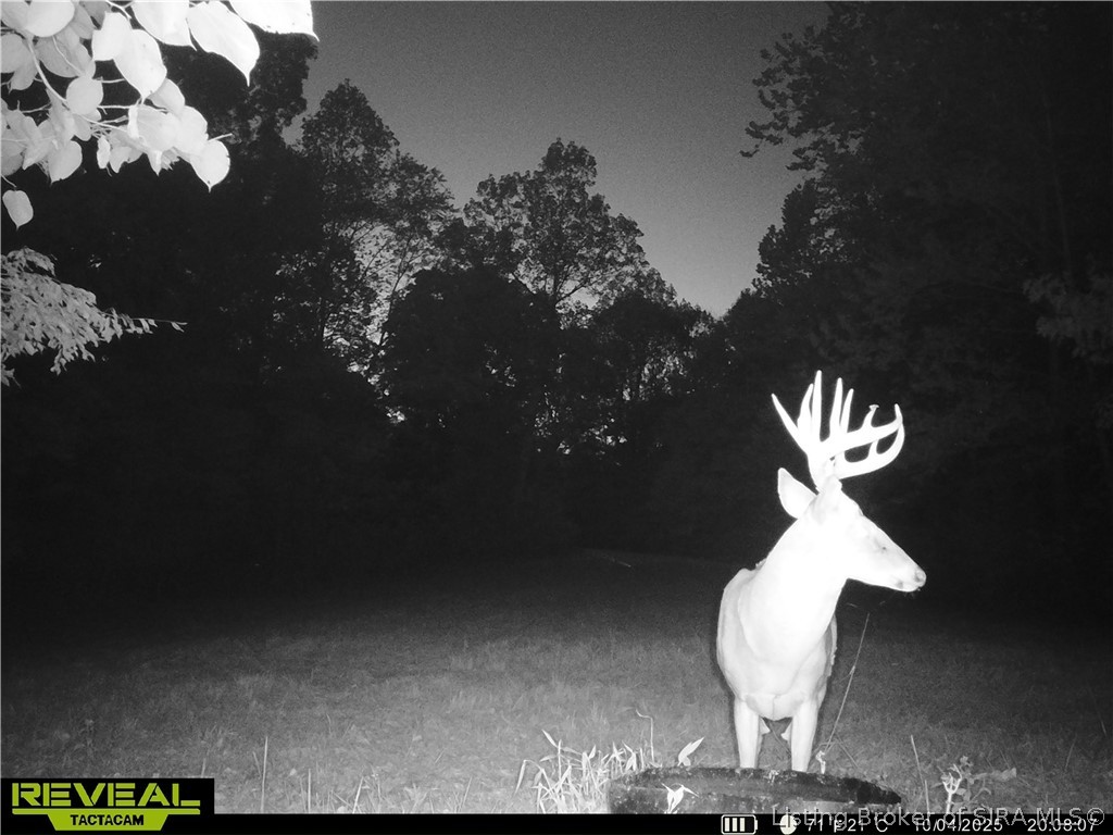 0 E Of Starr Road Property Photo 65