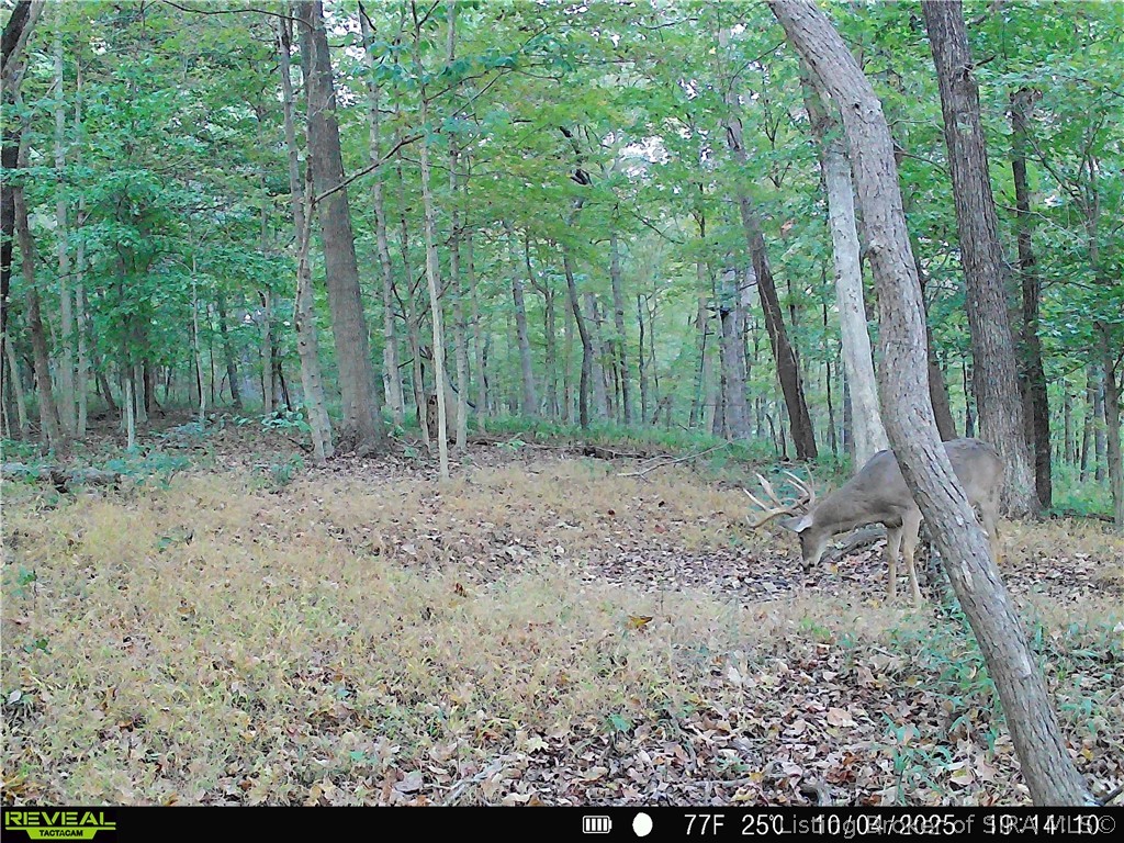 0 E Of Starr Road Property Photo 74