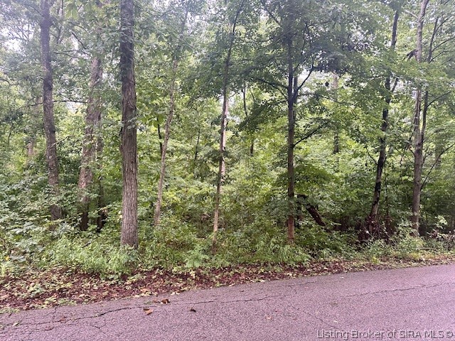 Dunmore Court Property Photo 8