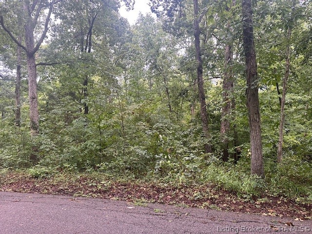 Dunmore Court Property Photo 9