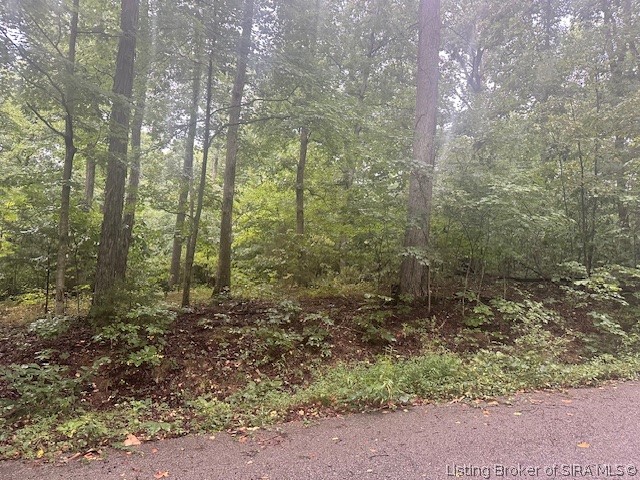 Dunmore Court Property Photo 11