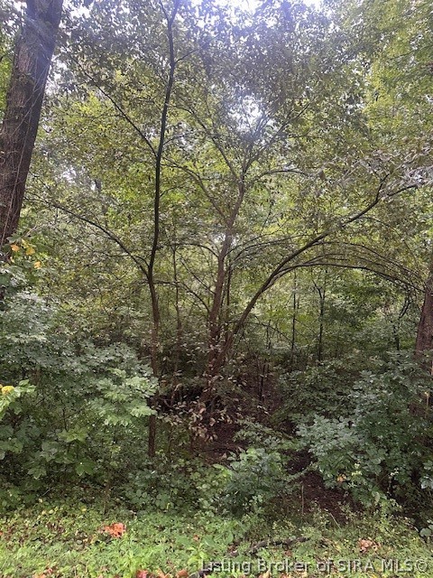 Dunmore Court Property Photo 15