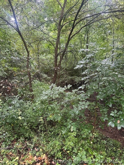Dunmore Court Property Photo 16