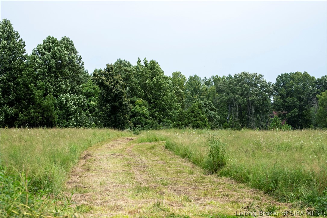 2306 E Mount Sterling Road Property Photo 44