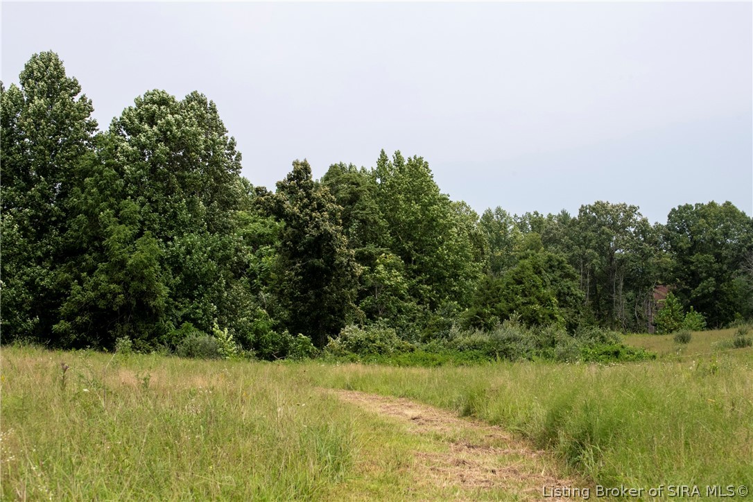 2306 E Mount Sterling Road Property Photo 45