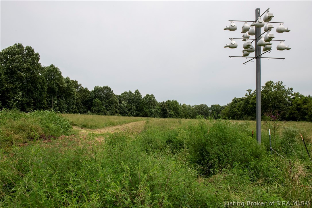 2306 E Mount Sterling Road Property Photo 46