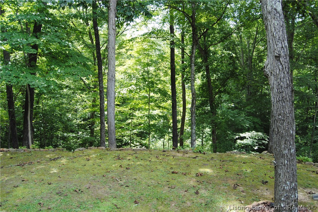 6472 S Wild Southview Drive Property Photo 40