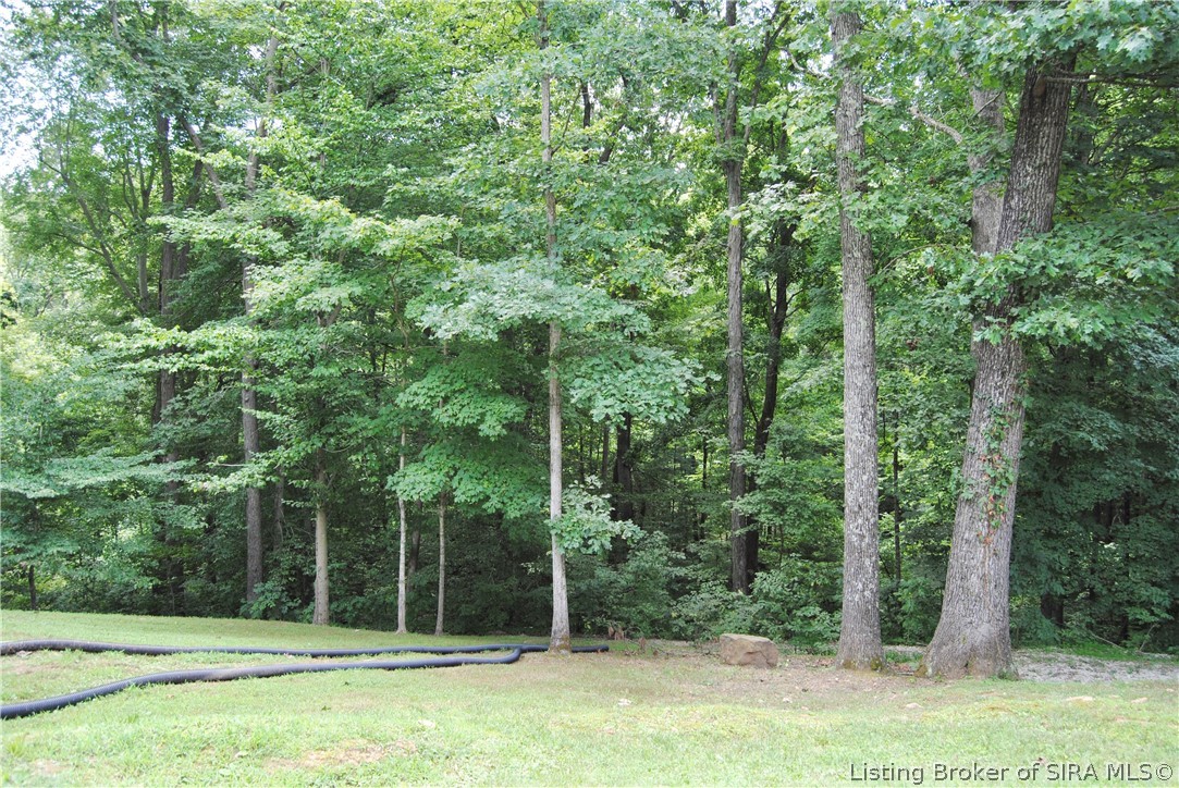 6472 S Wild Southview Drive Property Photo 51