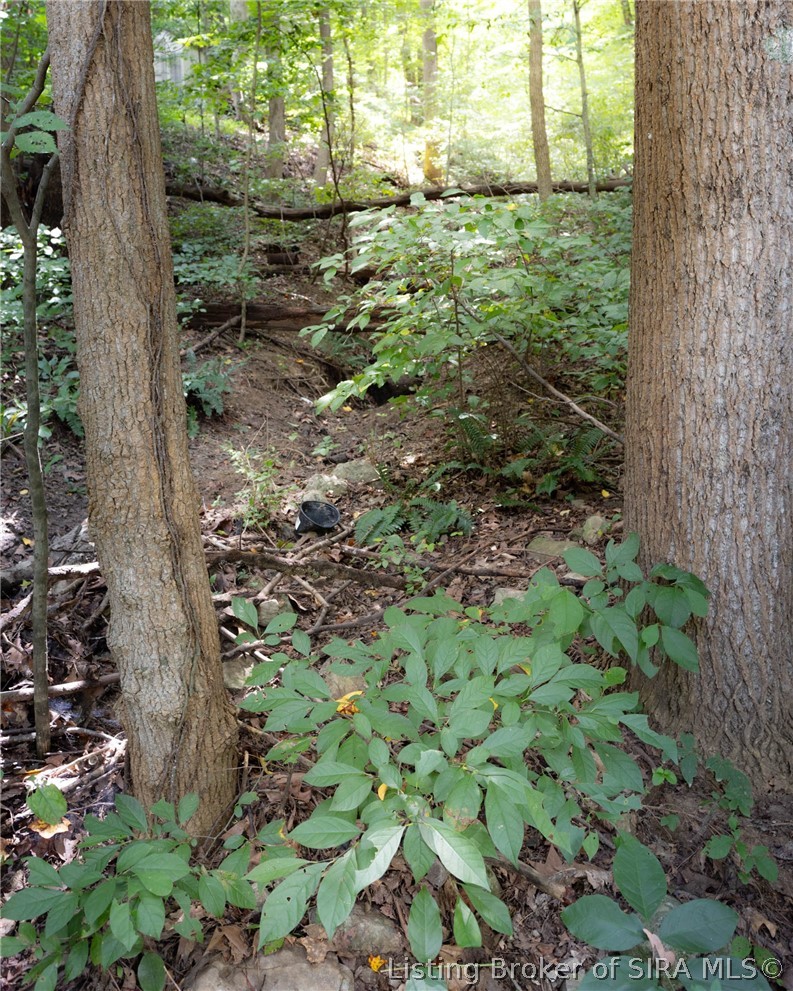2785 Spickert Knob Road Property Photo 2