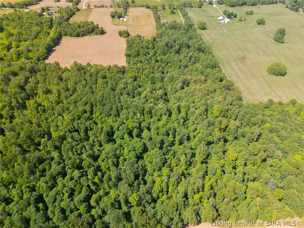 Fogel Road Property Photo 11
