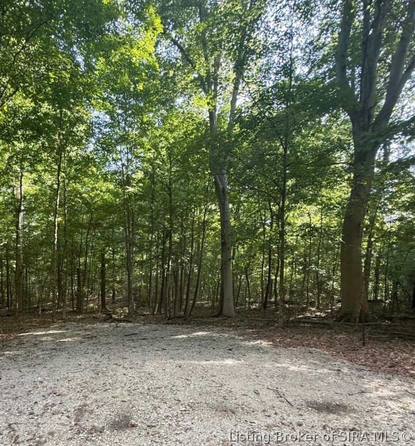 49.49 ± Ac Baptist Church Road Property Photo 1