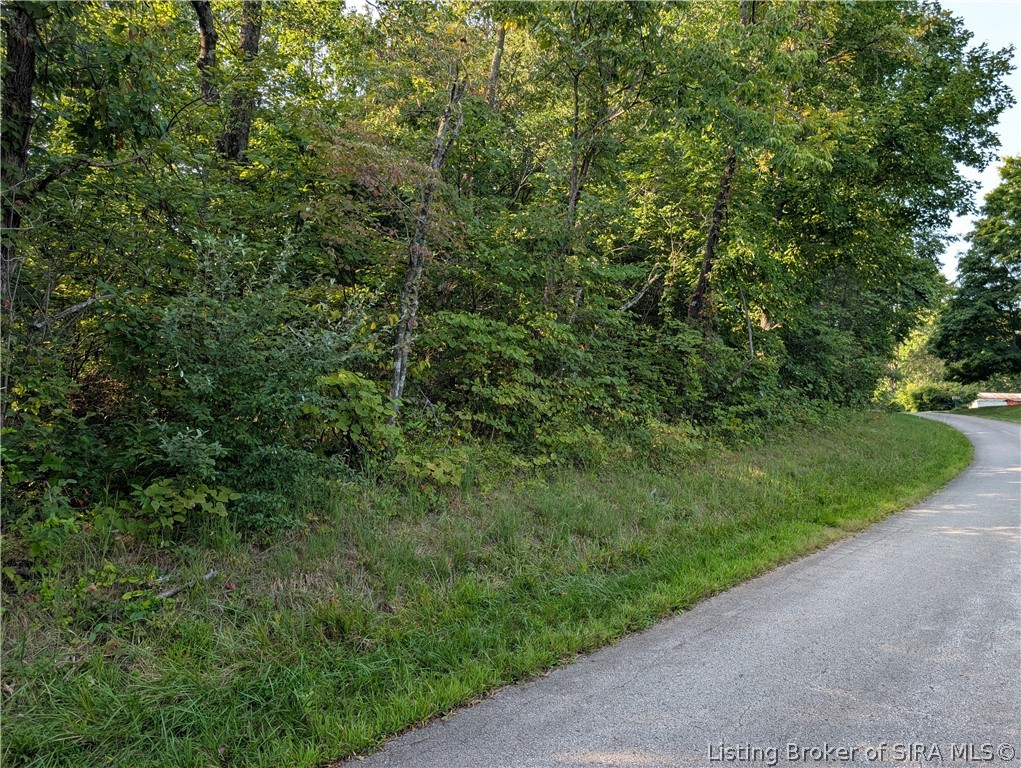 300+ Hackney Lane Property Photo 5