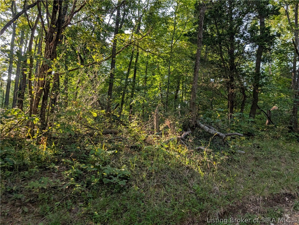 300+ Hackney Lane Property Photo 12