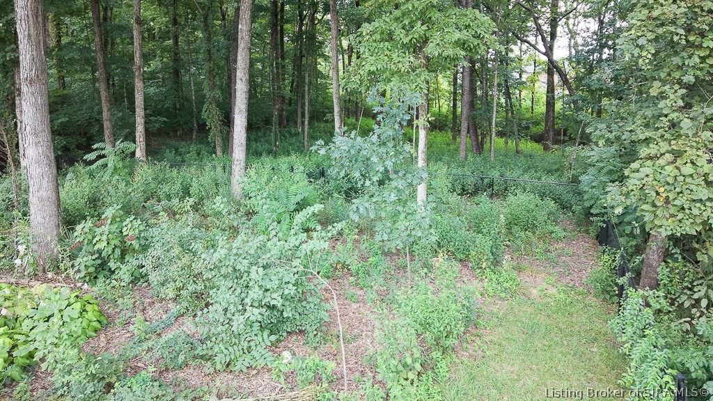 6552 Ashley Springs Court Property Photo 47