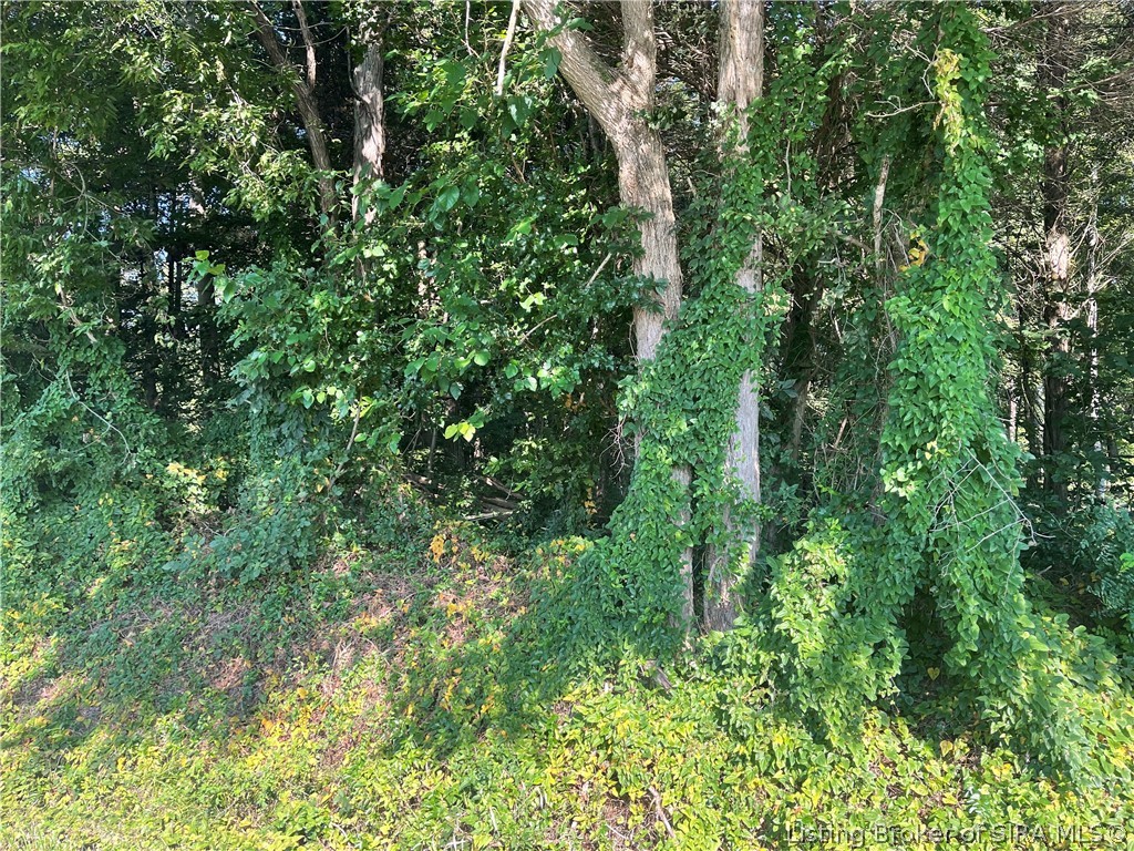Clapp Road Property Photo 1