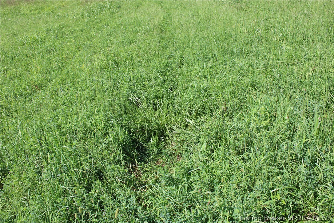 Tbd E County Road 1100 N Property Photo 8