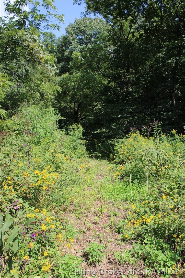 Tbd E County Road 1100 N Property Photo 10