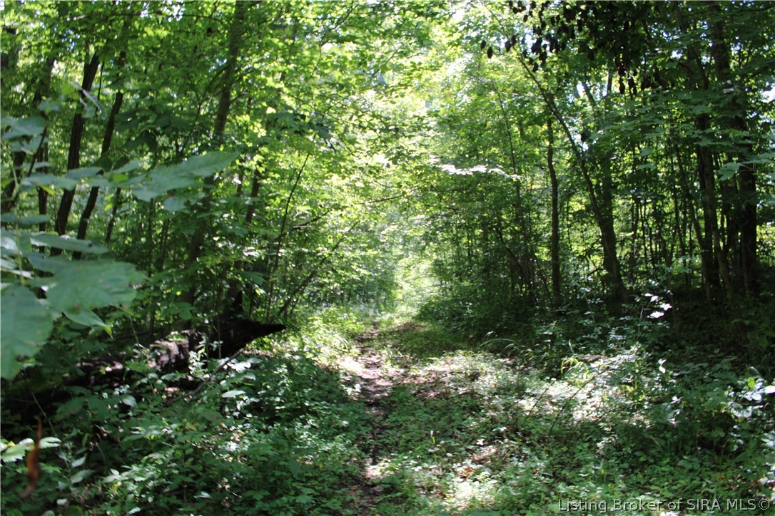 Tbd E County Road 1100 N Property Photo 11