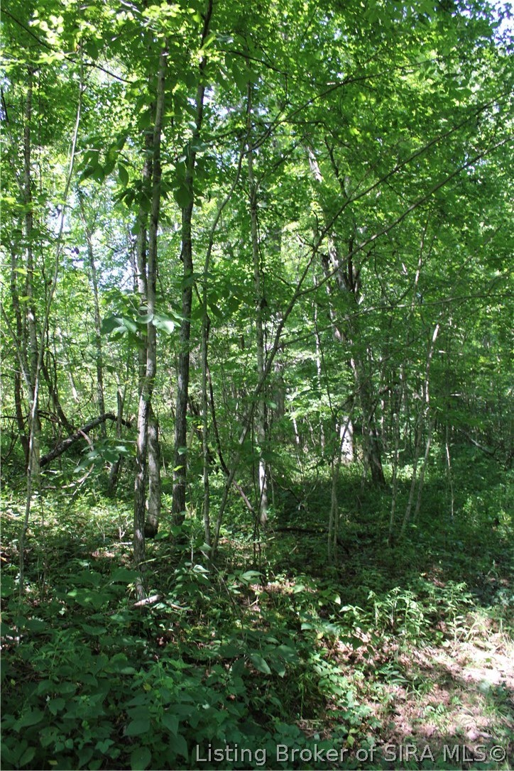 Tbd E County Road 1100 N Property Photo 12