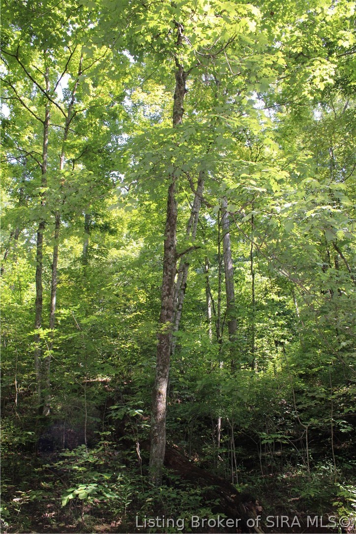 Tbd E County Road 1100 N Property Photo 15
