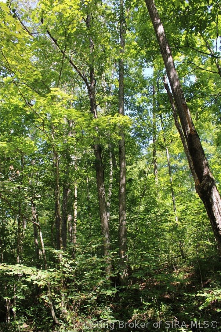 Tbd E County Road 1100 N Property Photo 16