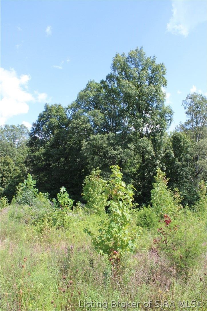 Tbd E County Road 1100 N Property Photo 17