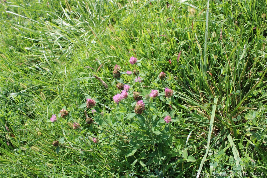 Tbd E County Road 1100 N Property Photo 23