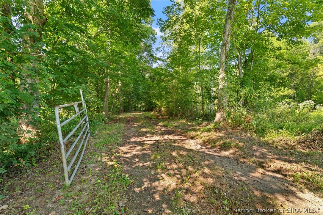 644 E Camp Jerry Road Property Photo 4