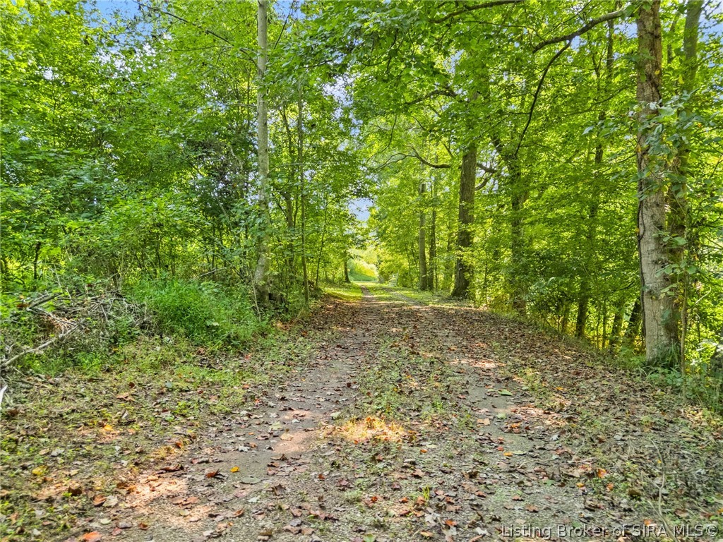644 E Camp Jerry Road Property Photo 12