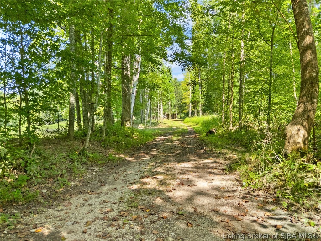 644 E Camp Jerry Road Property Photo 13