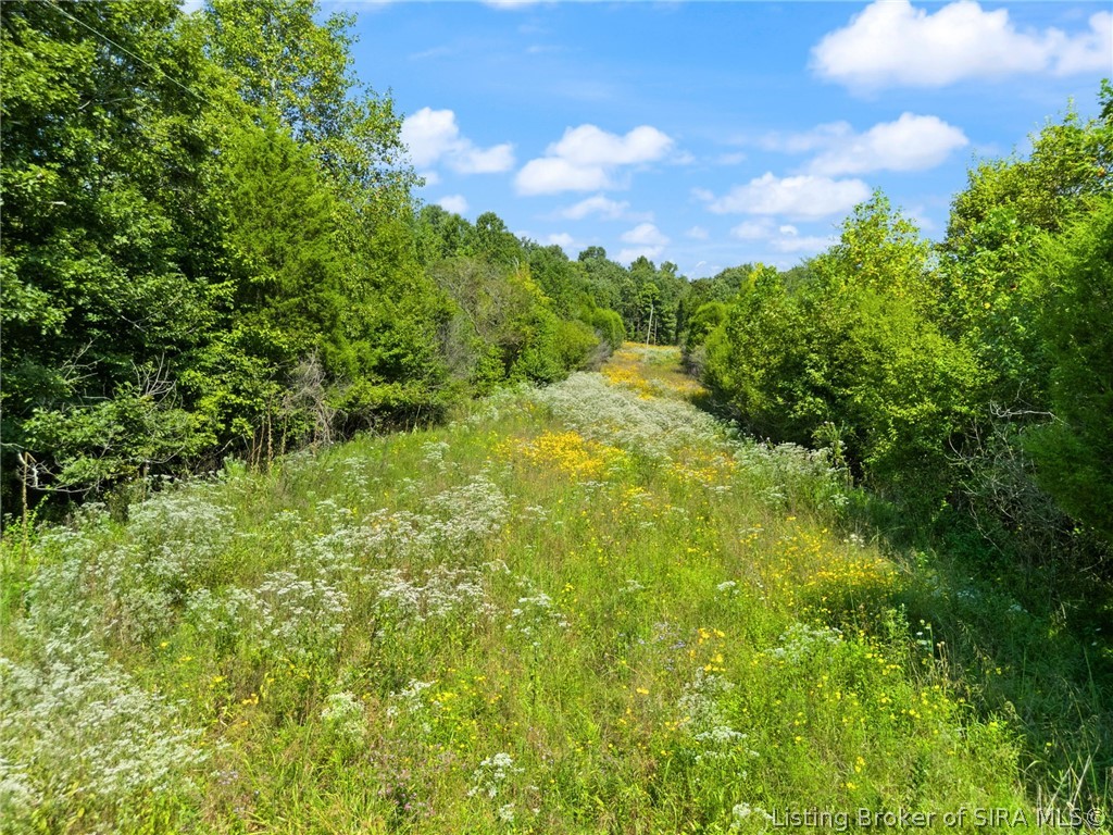 644 E Camp Jerry Road Property Photo 65