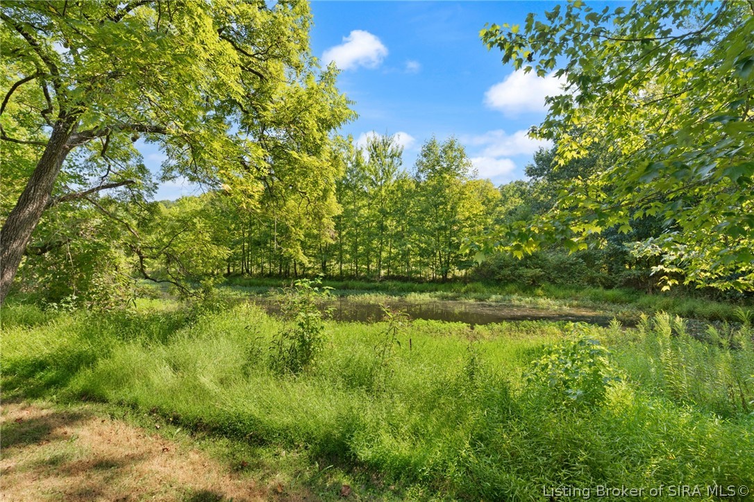 15116 Wilson Switch Road Property Photo 9
